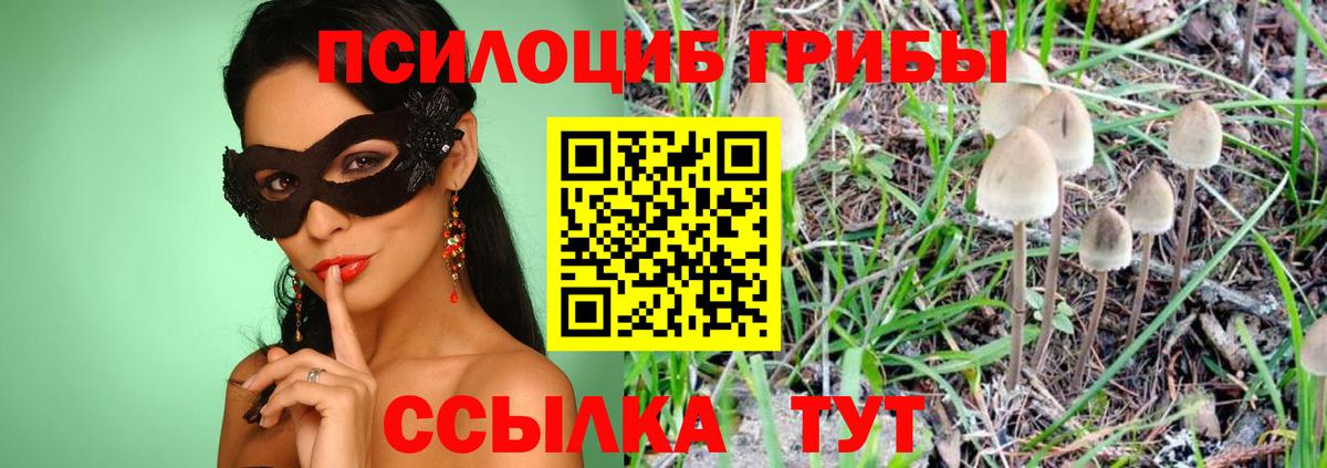 Камышин  Галлюциногенные грибы мухоморы  Вход с VPN 